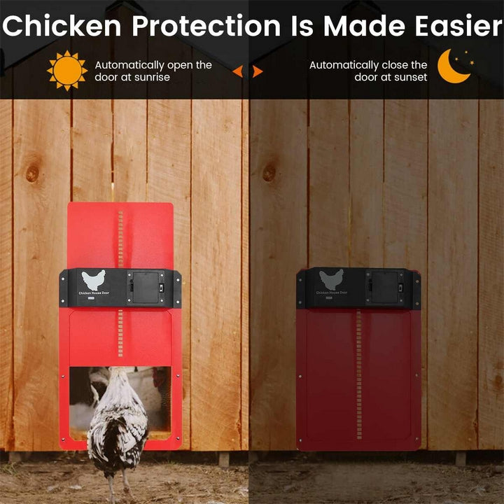 Automatic Chicken Coop Door | Waterproof, Easy Installation & Light Sensor for Poultry Safety