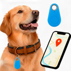 GPS Dog Tracker | Waterproof, Real-Time Location & Safety Zone Alerts for Outdoor Adventures