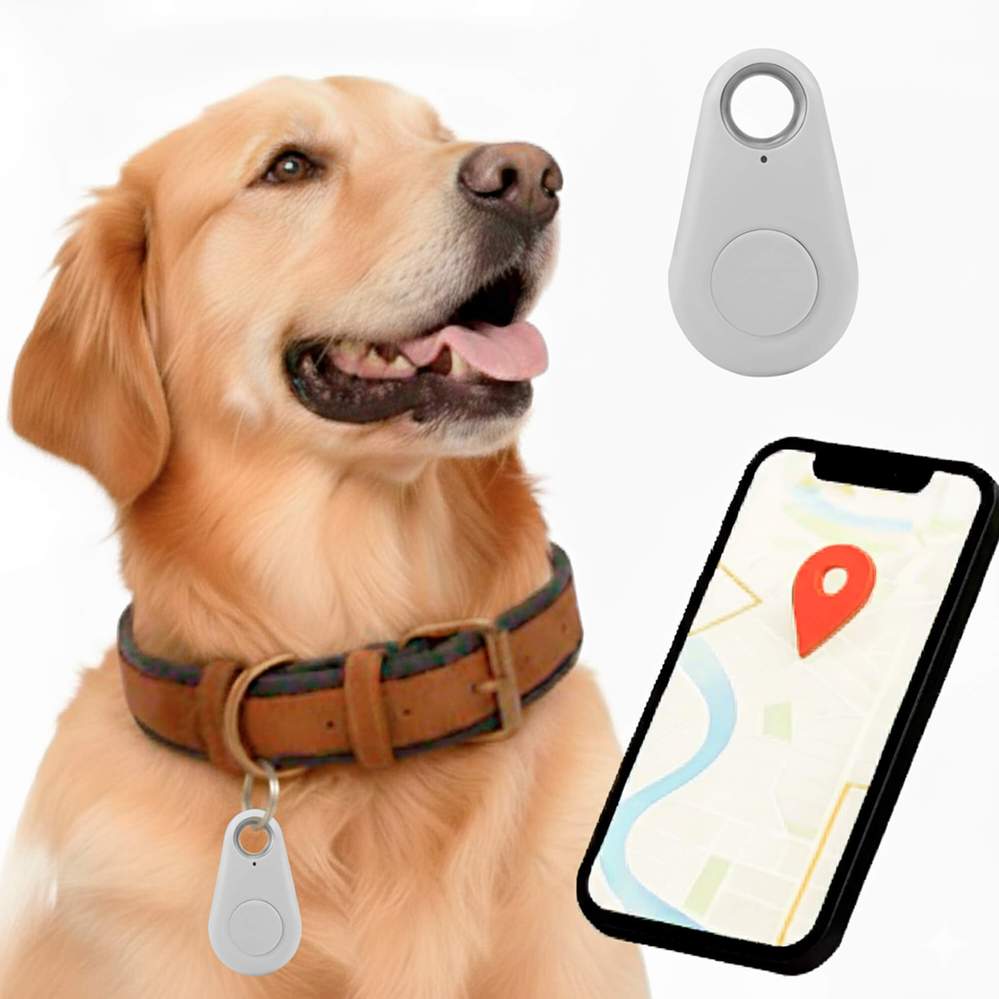 GPS Dog Tracker | Waterproof, Real-Time Location & Safety Zone Alerts for Outdoor Adventures