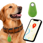 GPS Dog Tracker | Waterproof, Real-Time Location & Safety Zone Alerts for Outdoor Adventures