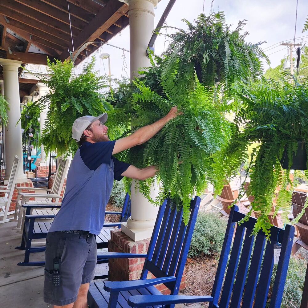 UV Resistant Artificial Boston Fern | Lifelike, Waterproof & Perfect for Indoor/Outdoor Décor