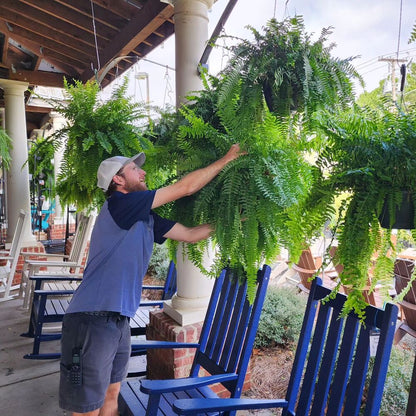 UV Resistant Artificial Boston Fern | Lifelike, Waterproof & Perfect for Indoor/Outdoor Décor