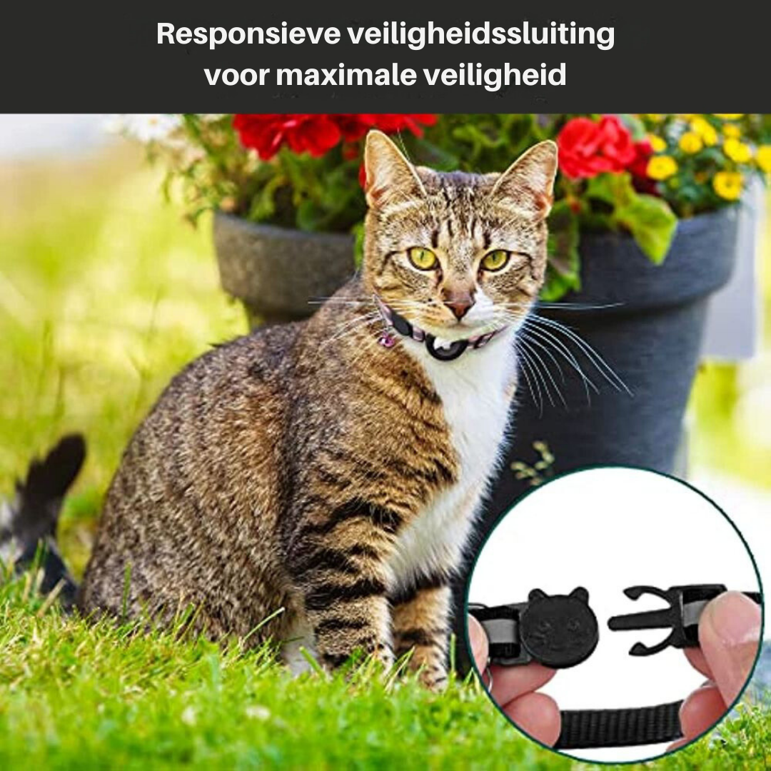 Cat Collar with Safety Buckle | GPS Tracker Holder, Reflective Design & Quick-Release for Nighttime Safety