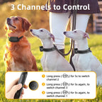 Rechargeable Waterproof Dog Training Collar | Remote Control, Variable Modes & Ideal for All Weather Conditions