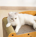 Cat House with Scratching Surface | Integrated Play Area for Comfort and Fun for Cats