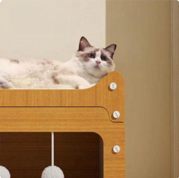 Cat House with Scratching Surface | Integrated Play Area for Comfort and Fun for Cats