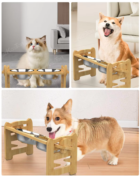 Elevated Pet Feeding Station | Ergonomic, Adjustable Height & Hygienic Stainless Steel Bowls for Small to Large Pets