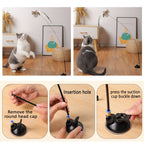 Interactive Bird Stimulation Cat Toy Set | Safe, Non-Toxic & Engaging for Indoor Playtime and Natural Hunting Instincts