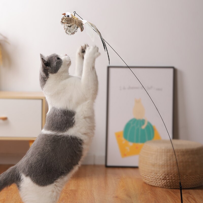 Interactive Bird Stimulation Cat Toy Set | Safe, Non-Toxic & Engaging for Indoor Playtime and Natural Hunting Instincts