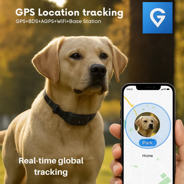 4G GPS Dog Tracker Collar | Real-Time Location & Safety Alerts