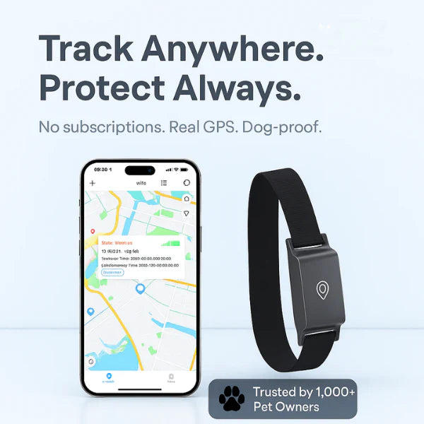 4G GPS Dog Tracker Collar | Real-Time Location & Safety Alerts