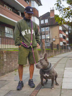 Hands-Free Dog Leash | Durable, Reflective & Ideal for Running, Walking, or Outdoor Adventures