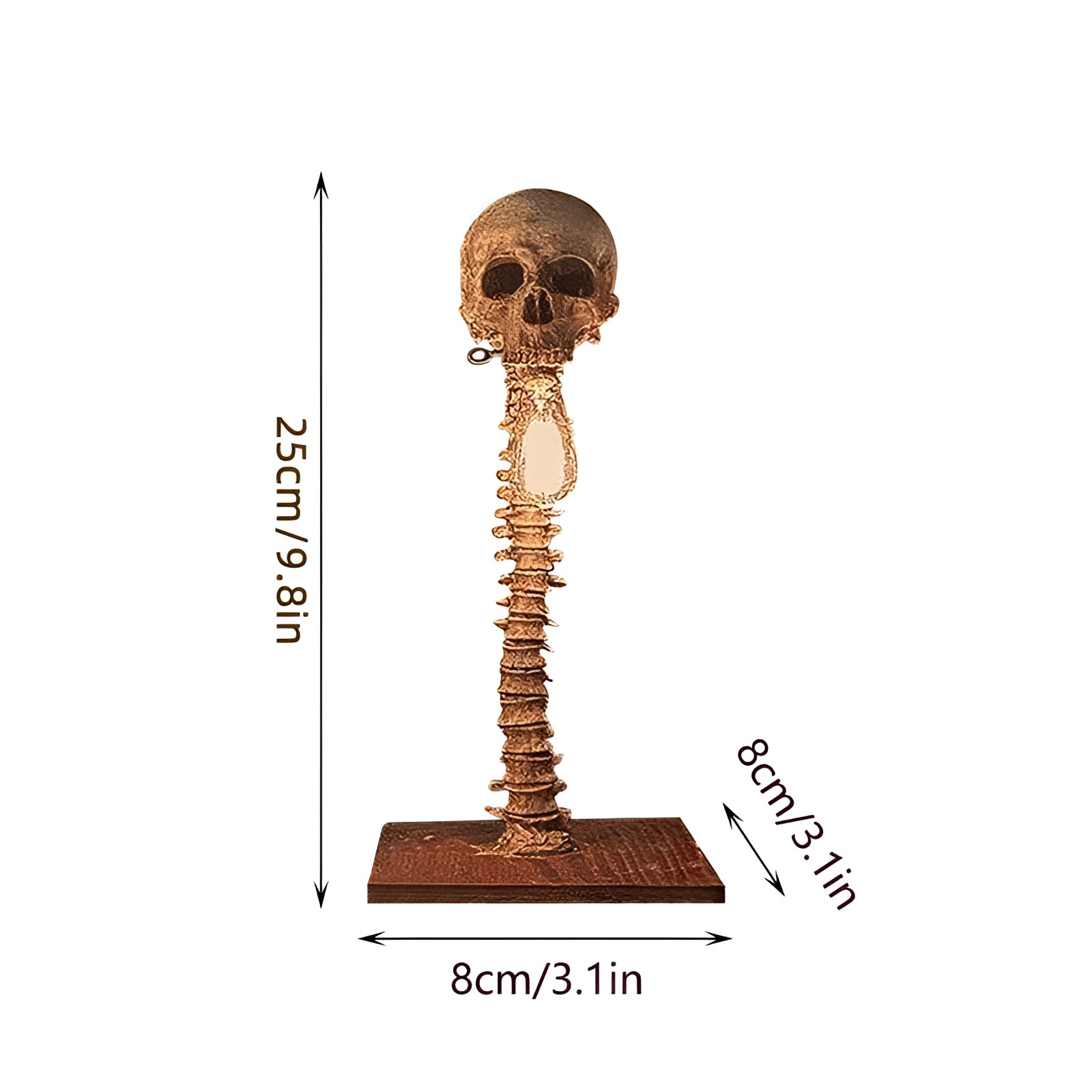 Gothic Skull Light Fixture: Skeleton Spine Lamp for Eerie Home Decor & Halloween Themed Rooms