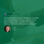 Steam Cleaner for Bed Bugs | High Temperature, Large Capacity & Effective for Home Use