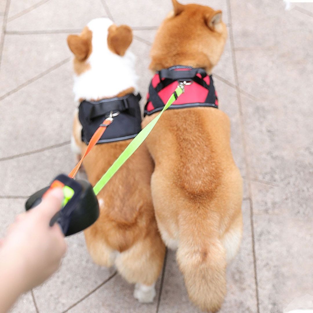 Anti-Wrap Double Dog Lead | Sturdy, Ergonomic & Integrated LED Light for Safe Night Walks