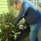 6” Lightweight Mini Chainsaw Kit | Includes 2 Free Batteries & Ideal for Gardening and Tree Trimming