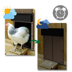 Automatic Chicken Coop Door – Solar-Powered Hen House Access