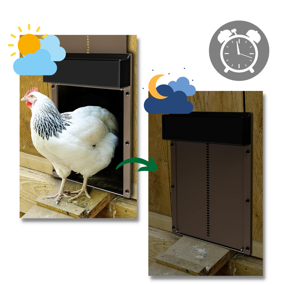 Automatic Chicken Coop Door | Light-Sensitive, Battery-Powered & Secure for Poultry Safety