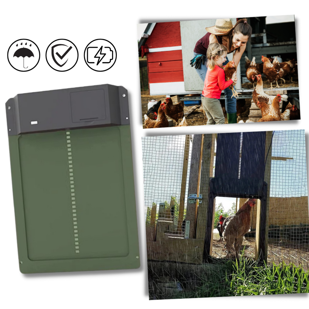 Automatic Chicken Coop Door | Light-Sensitive, Battery-Powered & Secure for Poultry Safety