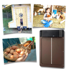 Automatic Chicken Coop Door | Light-Sensitive, Battery-Powered & Secure for Poultry Safety