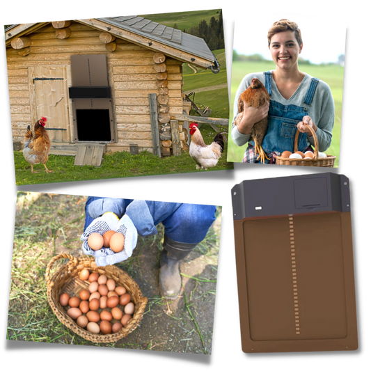 Automatic Chicken Coop Door – Solar-Powered Hen House Access