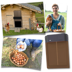 Automatic Chicken Coop Door | Light-Sensitive, Battery-Powered & Secure for Poultry Safety