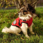 Waterproof Dog Jacket with Harness | Insulated, Warm & Weather-Ready for Extreme Cold and Wet Conditions