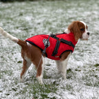 Waterproof Dog Jacket with Harness | Insulated, Warm & Weather-Ready for Extreme Cold and Wet Conditions