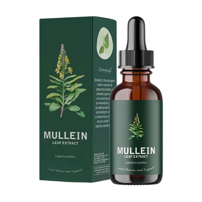 Gluten Free Mullein For Lung Health - Ozerty