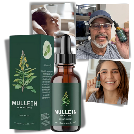 Natural Mullein Extract | Mullein Drops for Lung Detox - Support Lungs & Clear Phlegm with Herbal Power