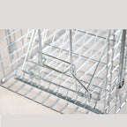 Humane Live Animal Trap | Durable, Collapsible Design for Safe Capture of Stray Cats, Rabbits & Raccoons