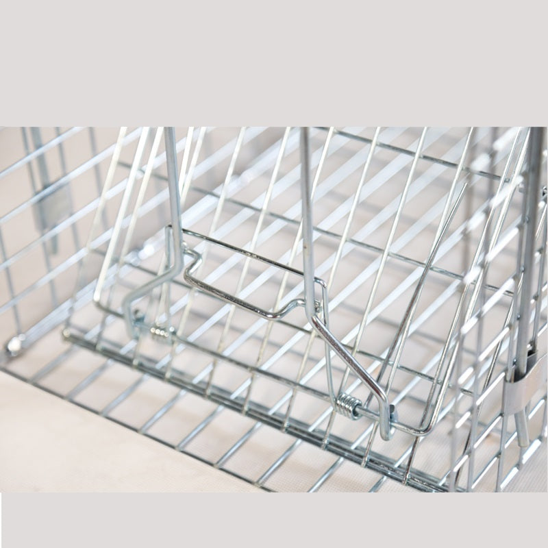 Humane Live Animal Trap | Durable, Collapsible Design for Safe Capture of Stray Cats, Rabbits & Raccoons