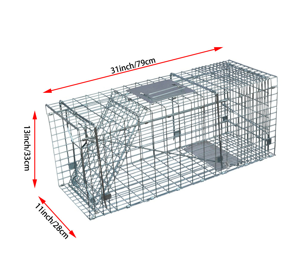 Humane Live Animal Trap | Durable, Collapsible Design for Safe Capture of Stray Cats, Rabbits & Raccoons
