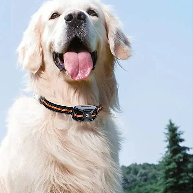 Dog Training Collar | Long Range Waterproof Remote with Adjustable Fit for Effective Obedience Training