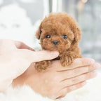 Realistic Robot Puppy Toy Dog with Smart Features, Interactive Companion for Kids and Pet Lovers