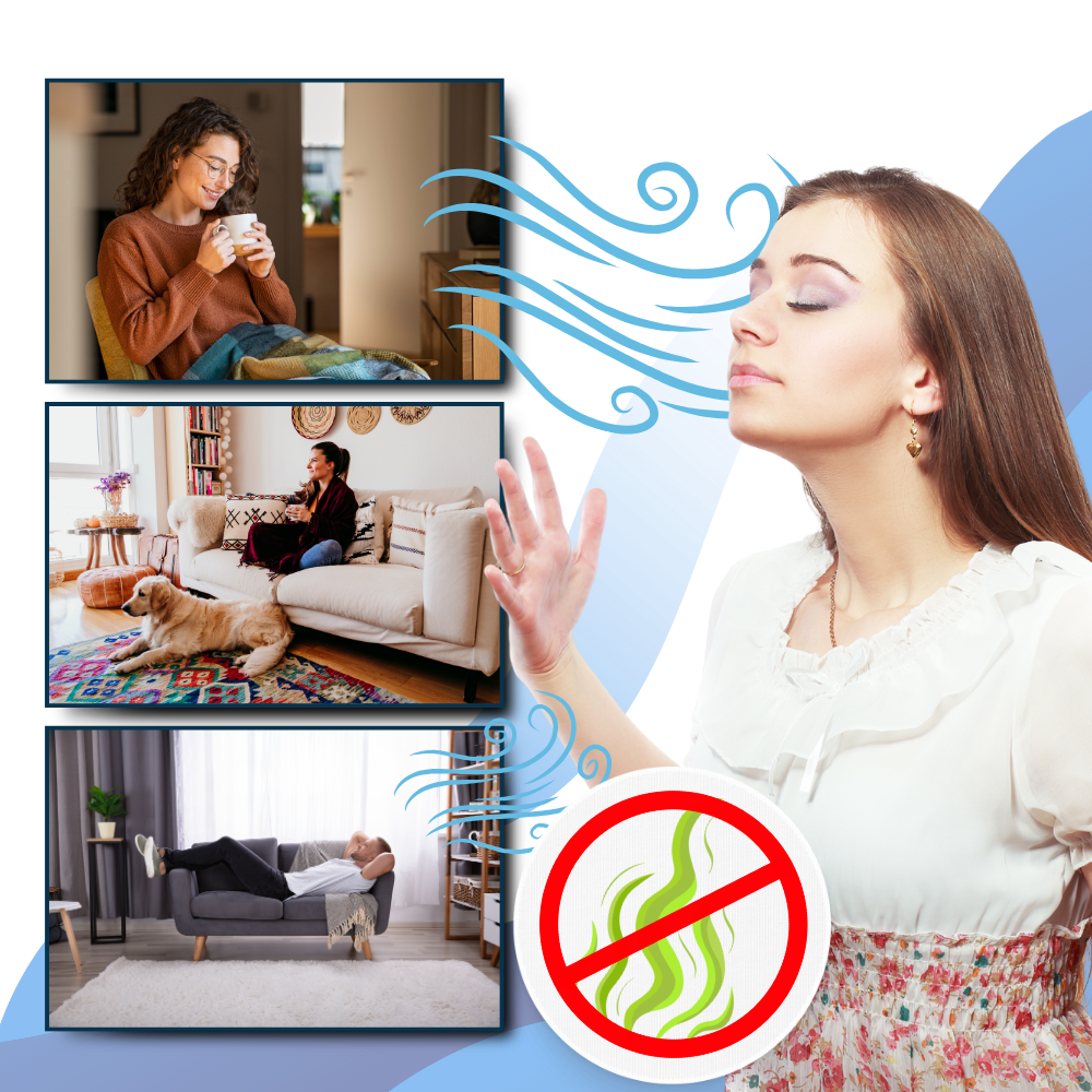 Multi-Surface UV Disinfectant Bulb | Kills Bed Bugs, Germs & Freshens Air for Home Sanitization