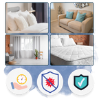 Multi-Surface UV Disinfectant Bulb | Kills Bed Bugs, Germs & Freshens Air for Home Sanitization