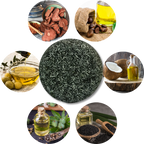 Gray Hair Control Shampoo | Reverse Gray Hair with Natural Shampoo – Darkening Formula for Healthy Hair