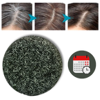 Gray Hair Control Shampoo | Reverse Gray Hair with Natural Shampoo – Darkening Formula for Healthy Hair