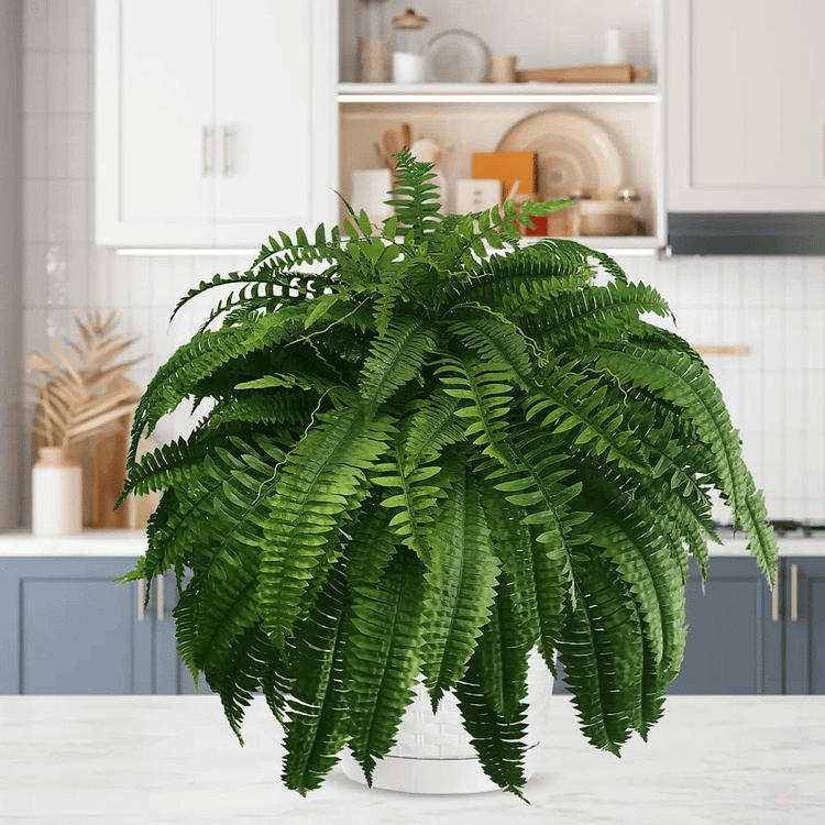 UV Resistant Artificial Boston Fern | Lifelike, Waterproof & Perfect for Indoor/Outdoor Décor