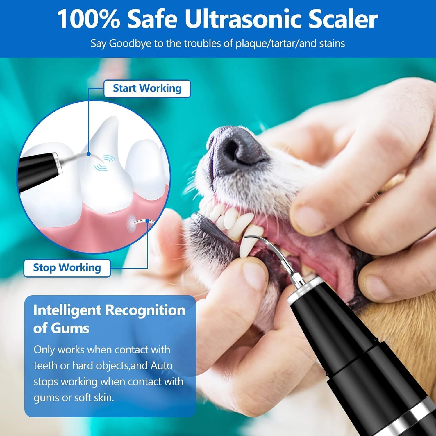 Ultrasonic Pet Tartar Remover | Gentle, Professional Cleaning for Home Oral Hygiene