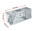 Humane Live Animal Trap | Durable, Collapsible Design for Safe Capture of Stray Cats, Rabbits & Raccoons