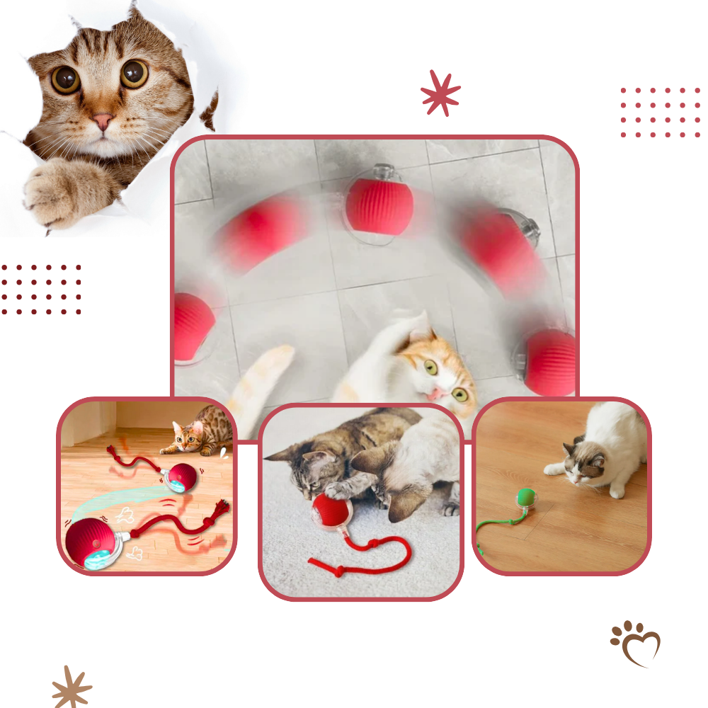 Smart Interactive Cat Ball Toy | Obstacle Avoidance, Customizable Modes & Fast Charging for Active Playtime