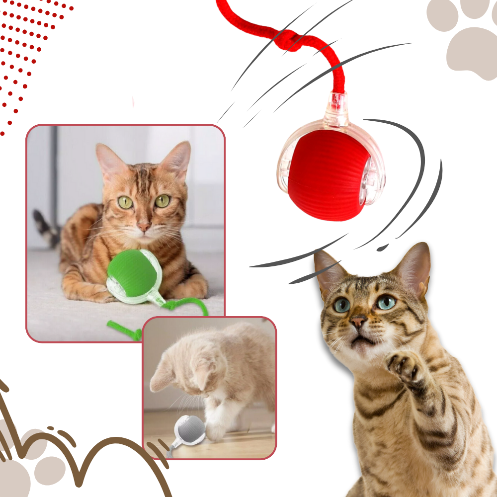 Smart Interactive Cat Ball Toy | Obstacle Avoidance, Customizable Modes & Fast Charging for Active Playtime