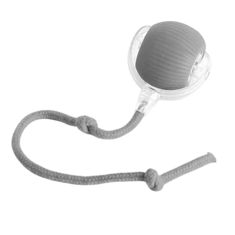 Smart Interactive Cat Ball Toy | Obstacle Avoidance, Customizable Modes & Fast Charging for Active Playtime