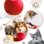 Smart Interactive Cat Ball Toy | Obstacle Avoidance, Customizable Modes & Fast Charging for Active Playtime