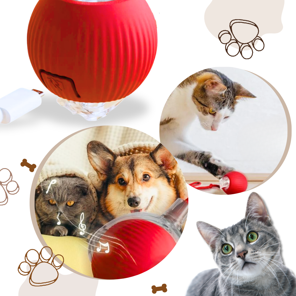 Smart Interactive Cat Ball Toy | Obstacle Avoidance, Customizable Modes & Fast Charging for Active Playtime