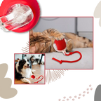 Smart Interactive Cat Ball Toy | Obstacle Avoidance, Customizable Modes & Fast Charging for Active Playtime