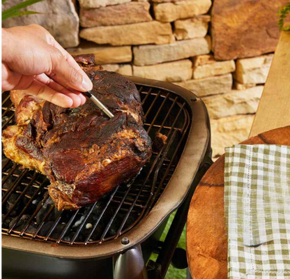 Wireless Food Thermometer, Meat Thermometer - Explore Precision Cooking
