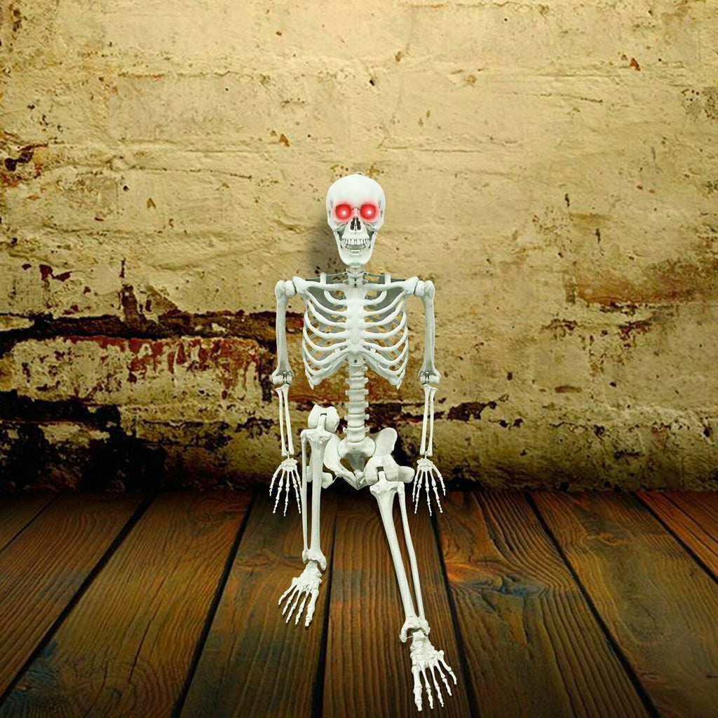 Posable Skeleton - Life Size Posable Skeleton